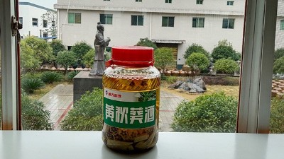 做酒設(shè)備釀造黃秋葵酒，3種不同工藝，哪種工藝釀的更好喝？