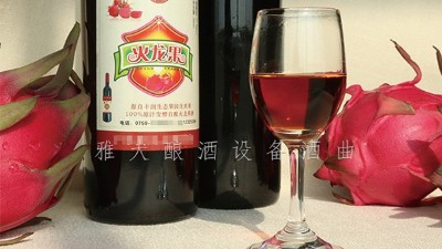 雅大釀酒設備廠家，果酒研發(fā)一年四季不打烊