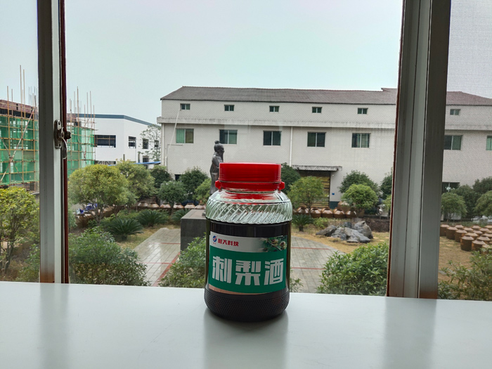 雅大水果泡制酒-刺梨酒