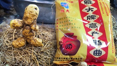 電加熱釀酒設(shè)備釀造黃精酒技術(shù)